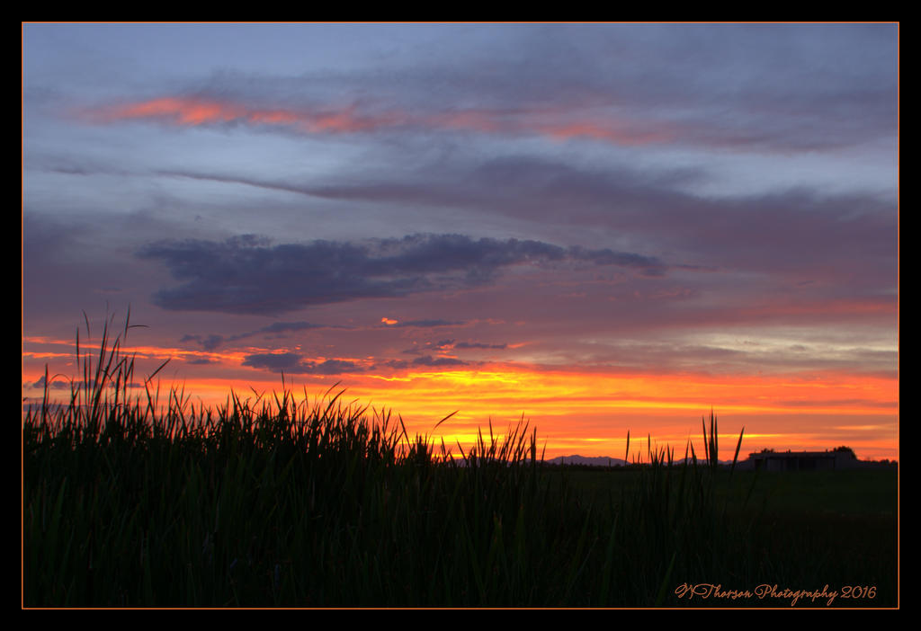 Sunset #3 7-1-2016.jpg