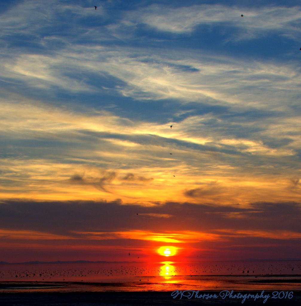Sunset #3 8-13-2016.jpg