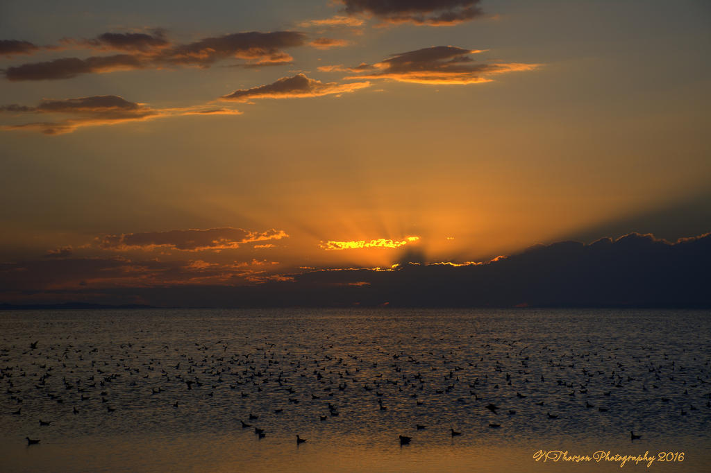 Sunset #3  8-6-2016.jpg