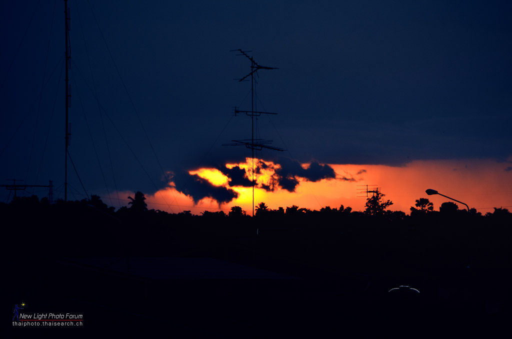 sunset-300-1.jpg