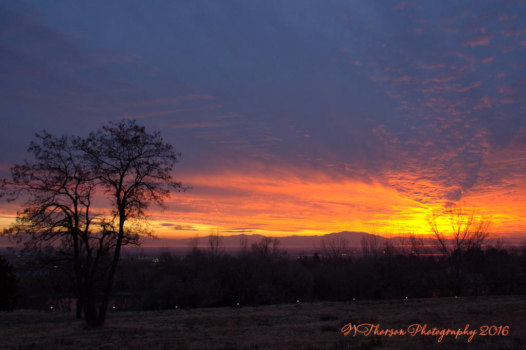 Sunset #4 12-20-2016.jpg