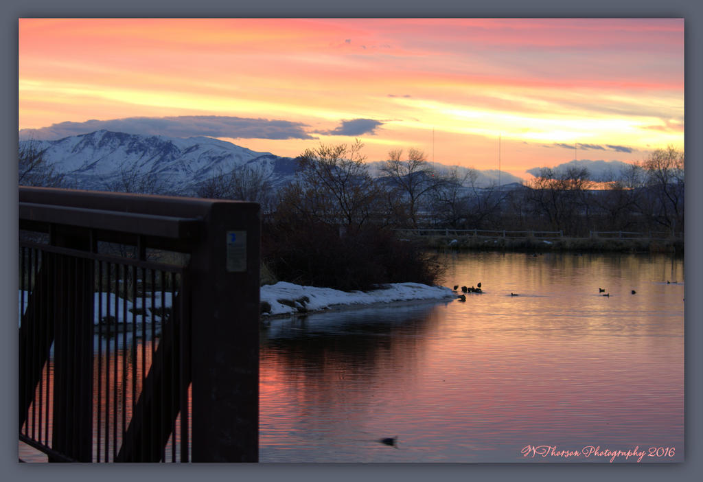 Sunset #4 2-15-2016.jpg
