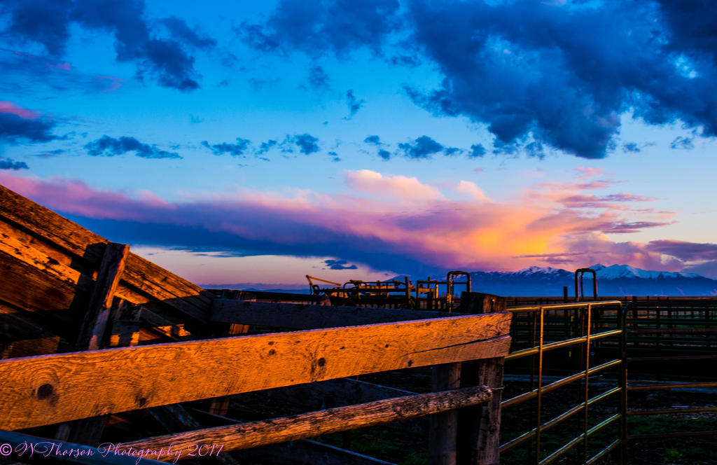 Sunset #4 4-1-2017.jpg
