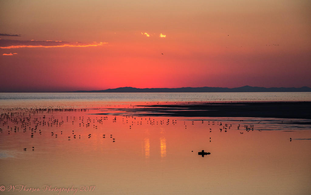 Sunset #4 7-31-2017.jpg