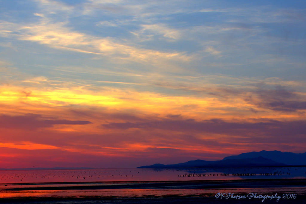 Sunset #4 8-13-2016.jpg
