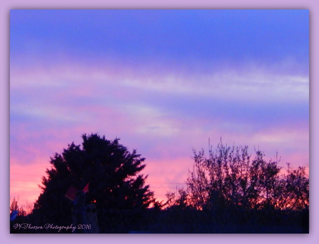 Sunset 4-8-2016.jpg