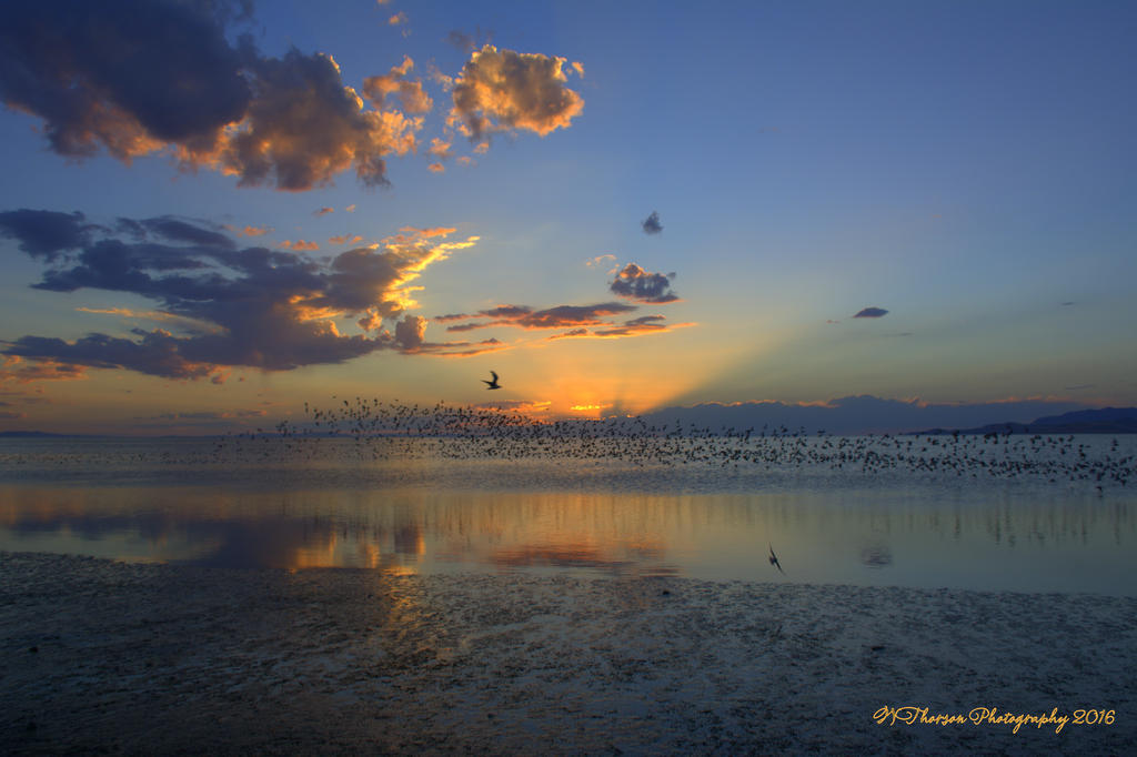 Sunset #4  8-6-2016.jpg