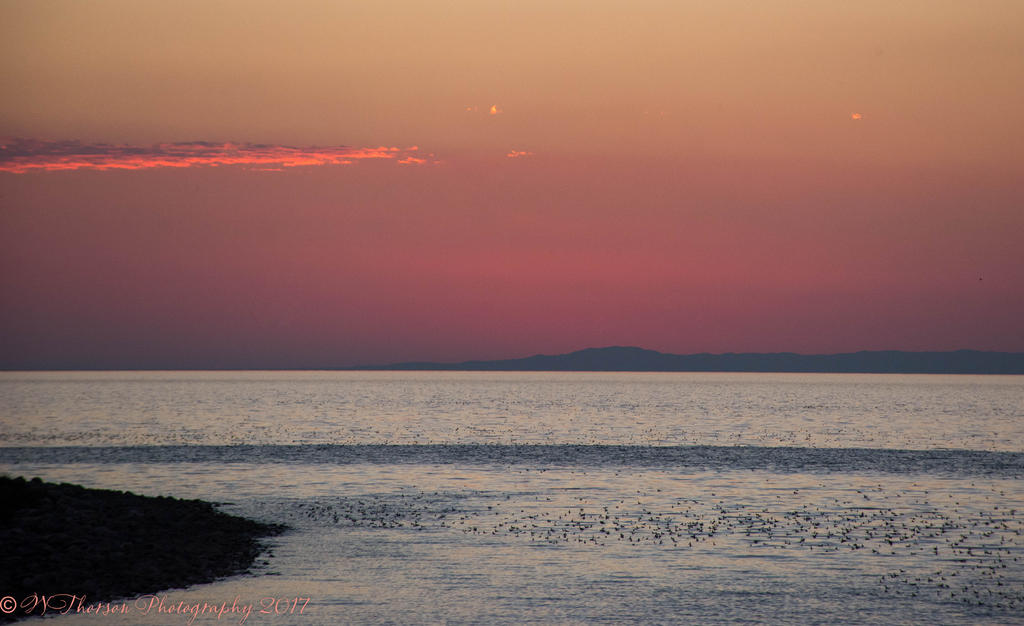 Sunset #5 7-31-2017.jpg