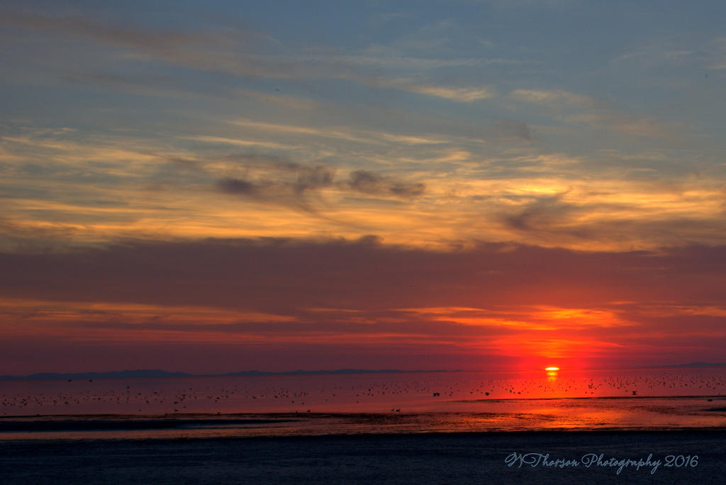 Sunset #5 8-13-2016.jpg