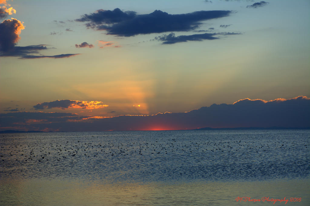 Sunset #5  8-6-2016.jpg
