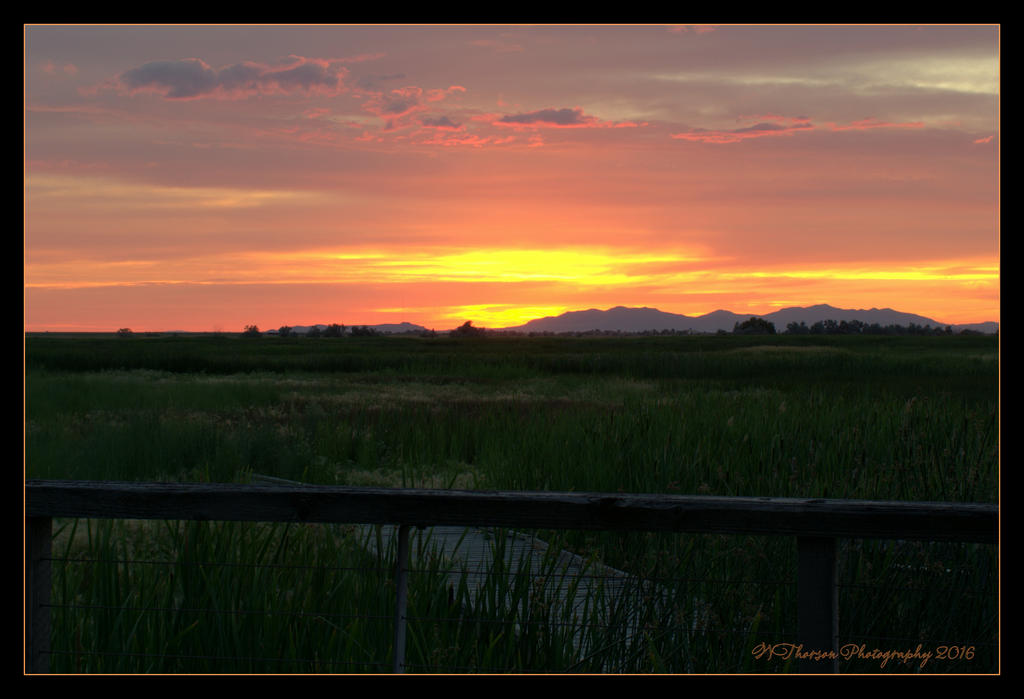 Sunset 7-1-2016.jpg