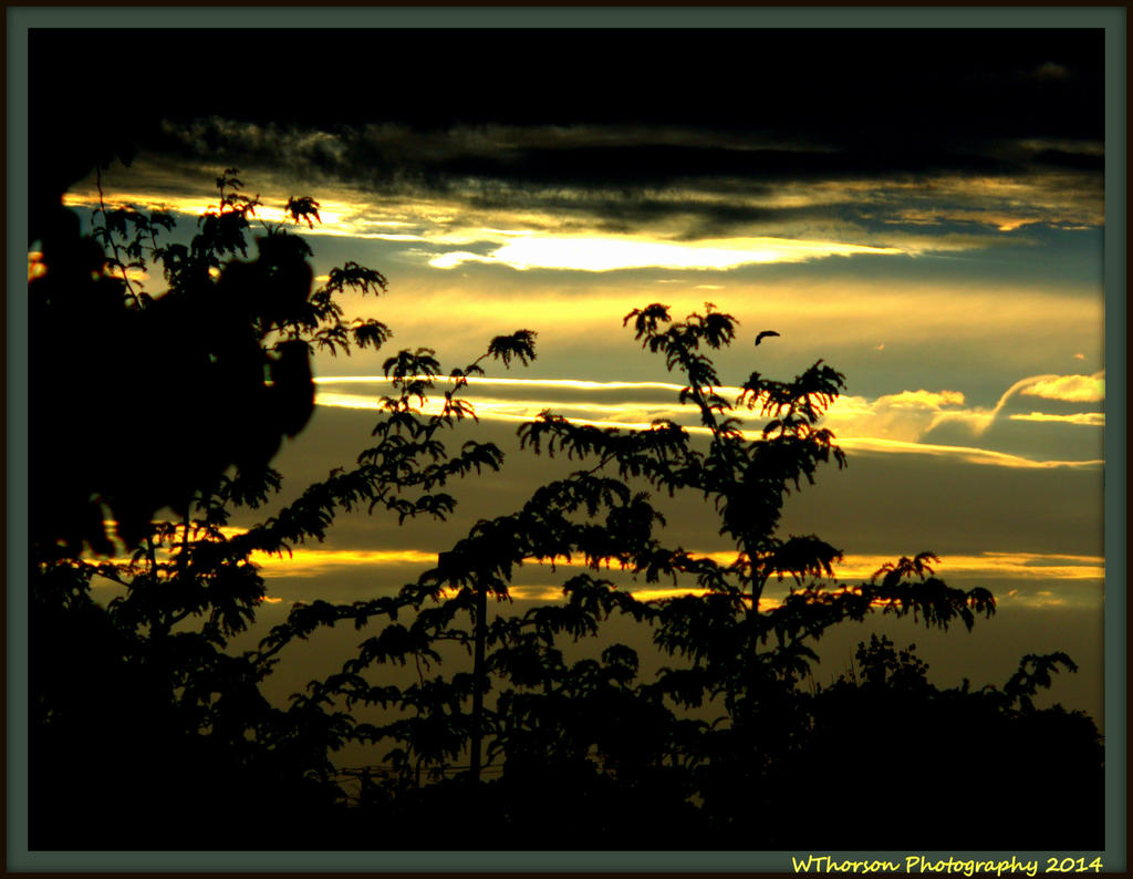 Sunset 7-10-2014.jpg