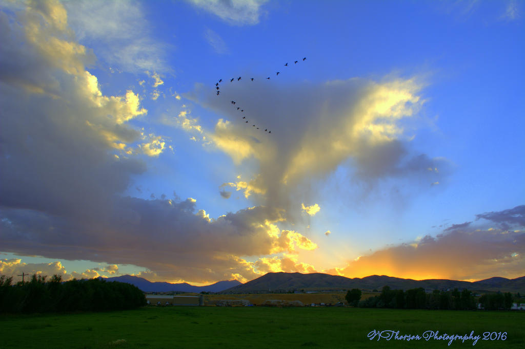 Sunset 7-18-2016.jpg