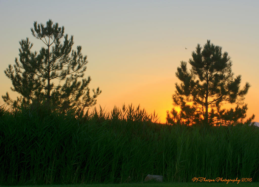 Sunset 7-26-2016.jpg