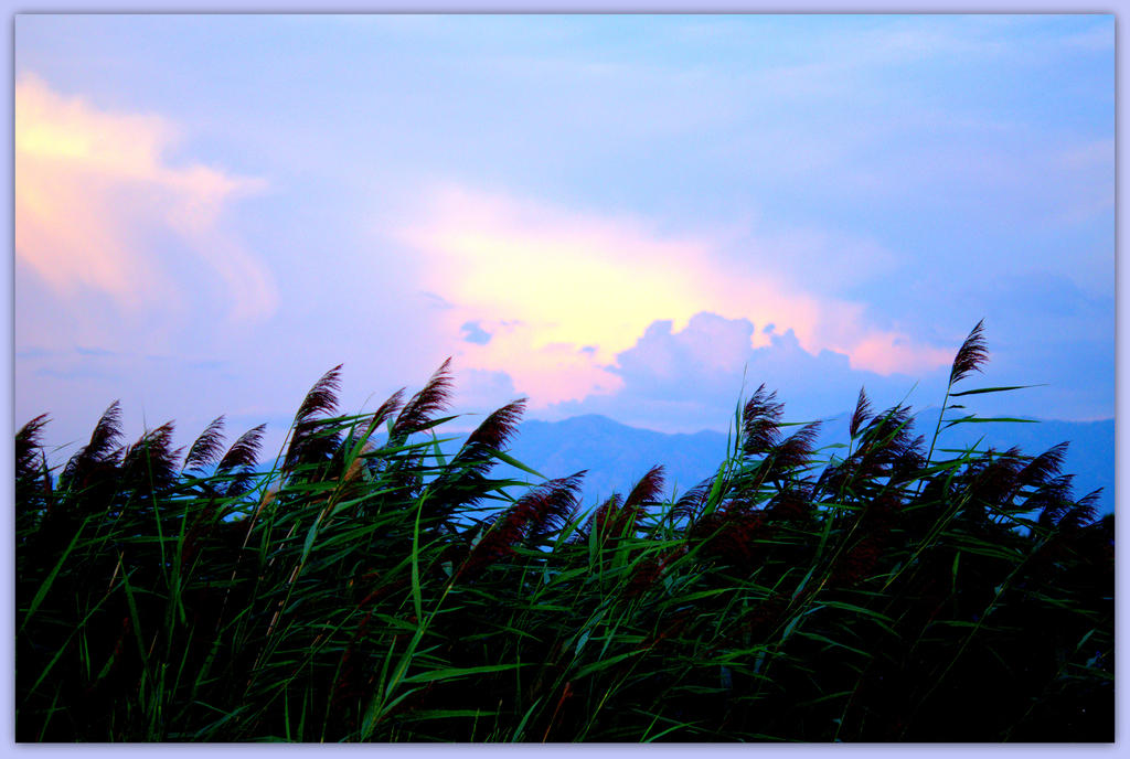 Sunset 8-9-2014.jpg