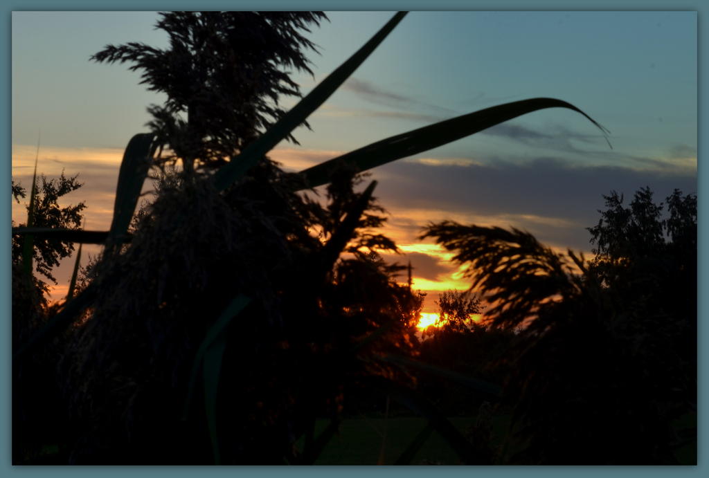 Sunset 9-23-2014.jpg