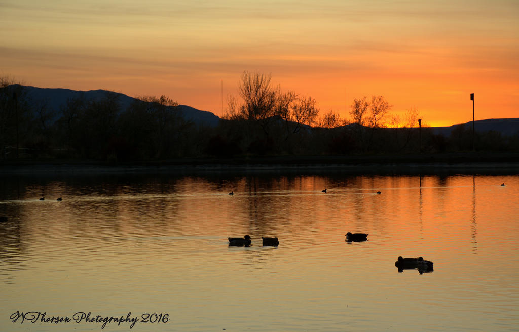 Sunset at Jensen #1 11-22-2016.jpg