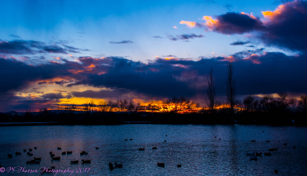 Sunset at Jensen Pond #1 2-28-2017.jpg