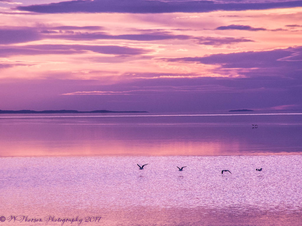 Sunset at the Marina #4 6-15-2017.jpg