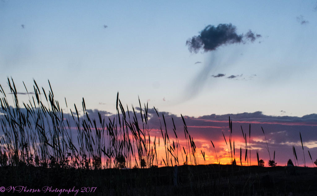 Sunset  at the Park 6-10-2017.jpg