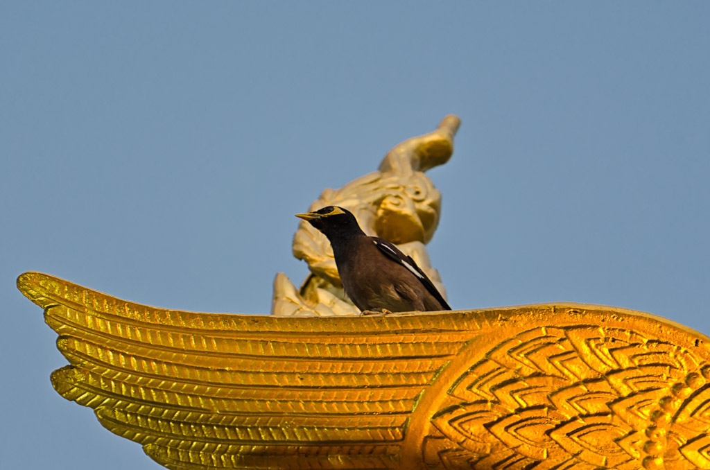 sunset-banbueng-3.jpg