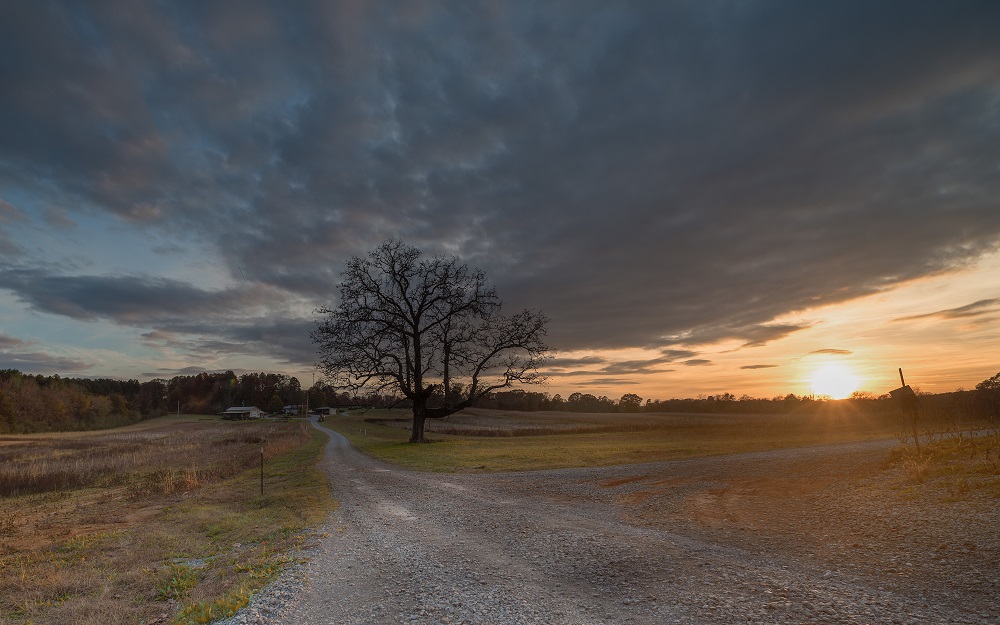 sunset, Birchwood-.jpg