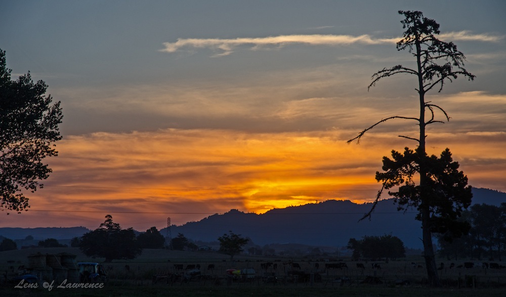 Sunset Feb 3 LOL.jpg