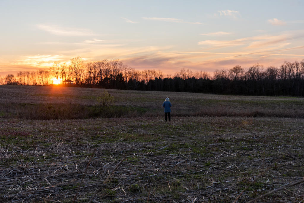 Sunset Hwy 42-0413.jpg