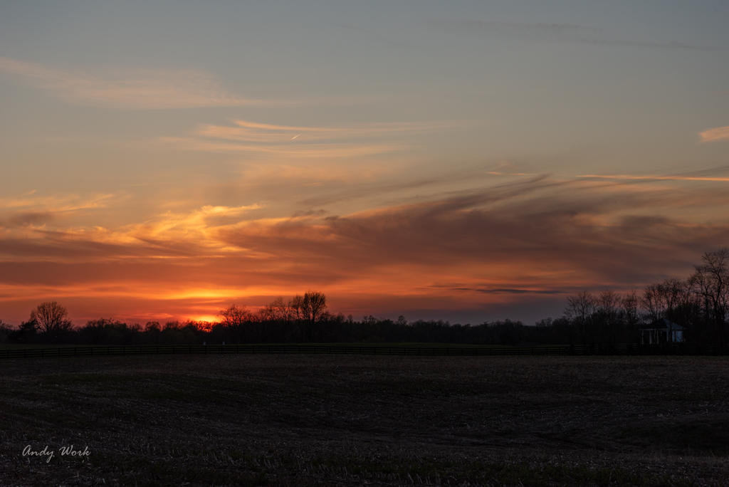 Sunset Hwy 42-0420.jpg