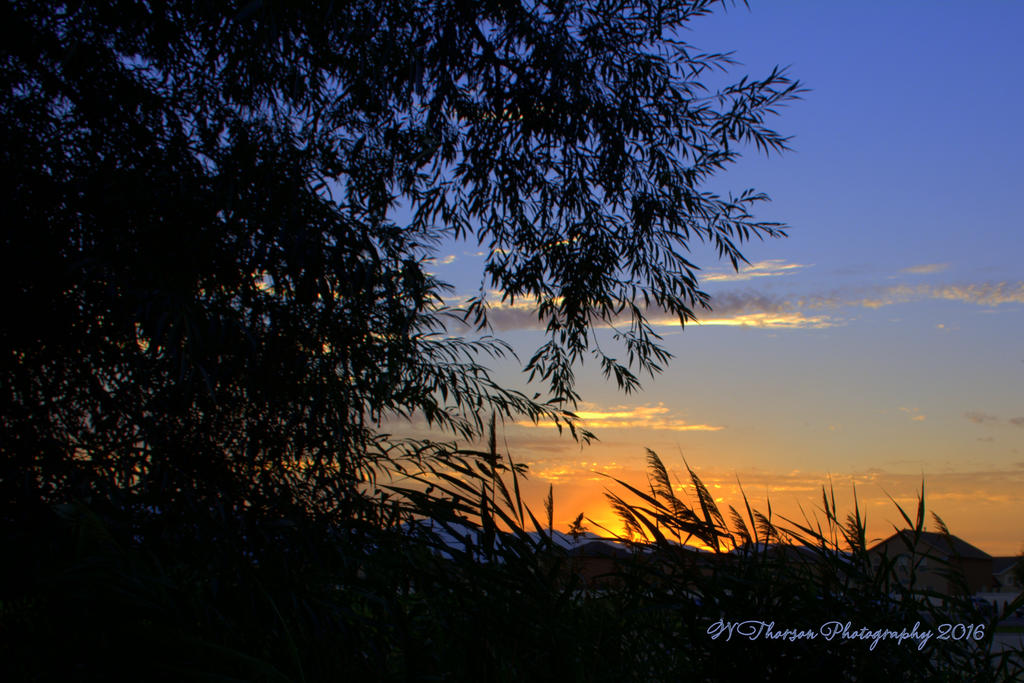 Sunset in a Lehi Park #5 8-4-2016.jpg
