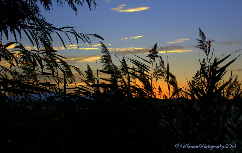 Sunset in a Lehi Park #6 8-4-2016.jpg