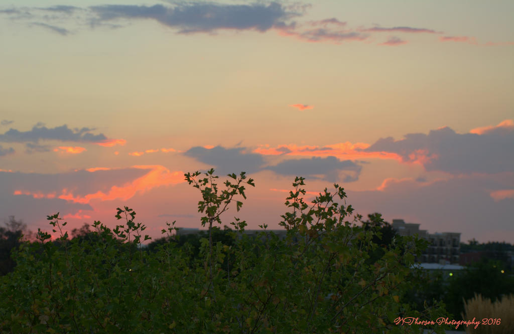 Sunset in Layton  #3 7-31-2016.jpg