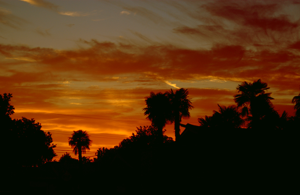 Sunset.jpg