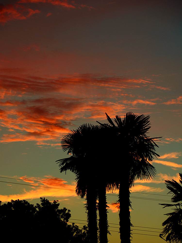 Sunset.jpg