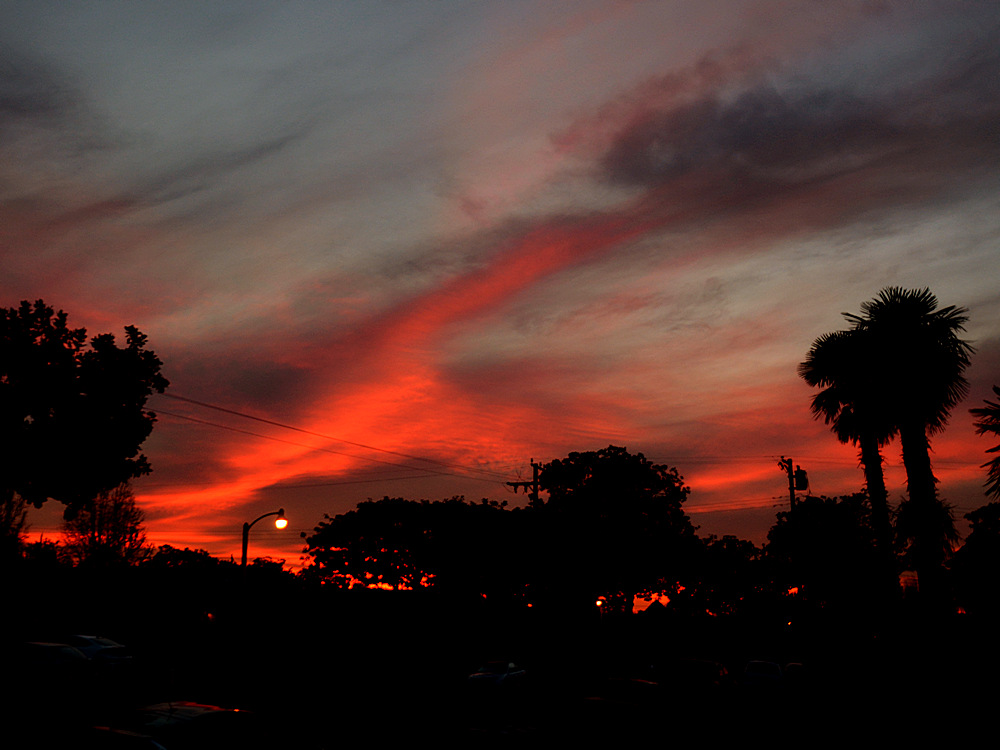 Sunset.jpg