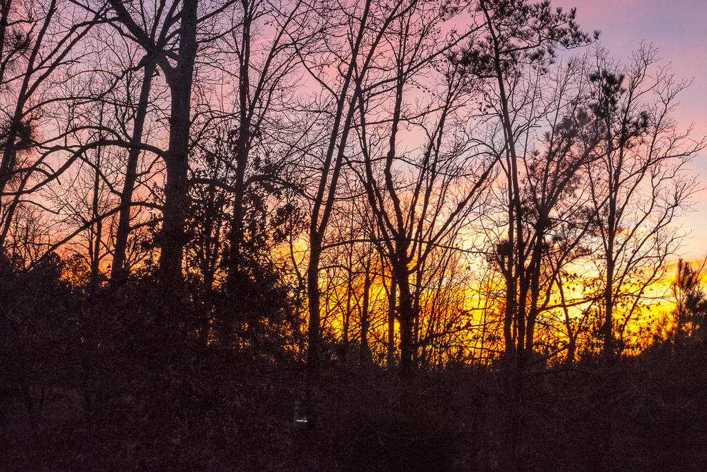 sunset.jpg