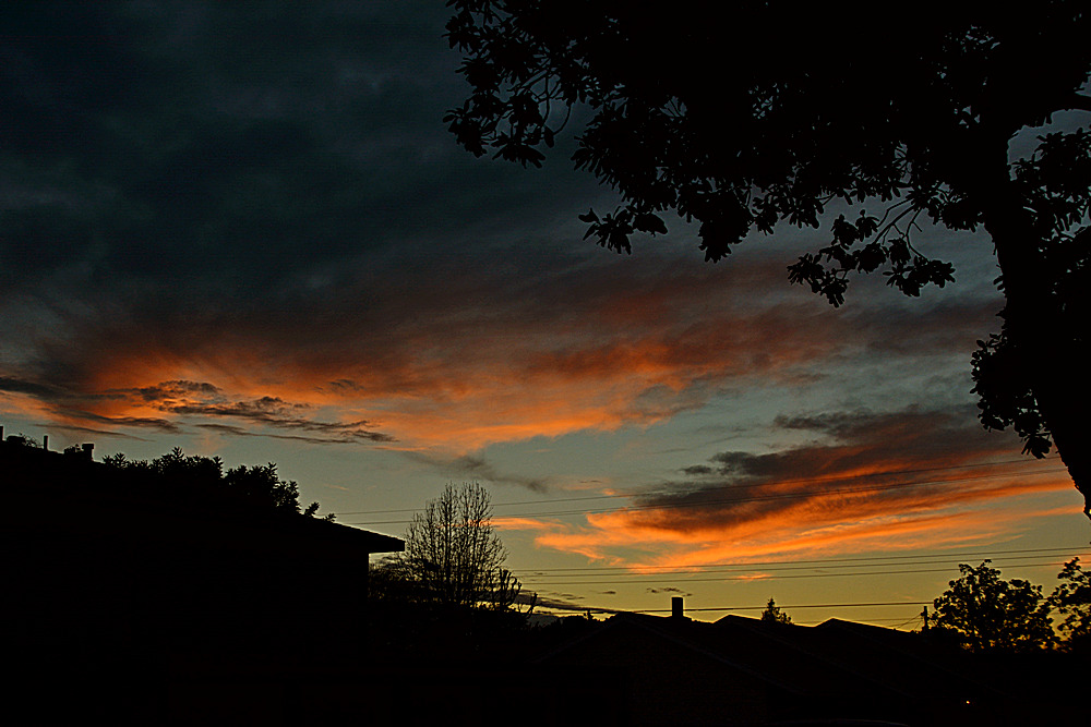 Sunset.jpg