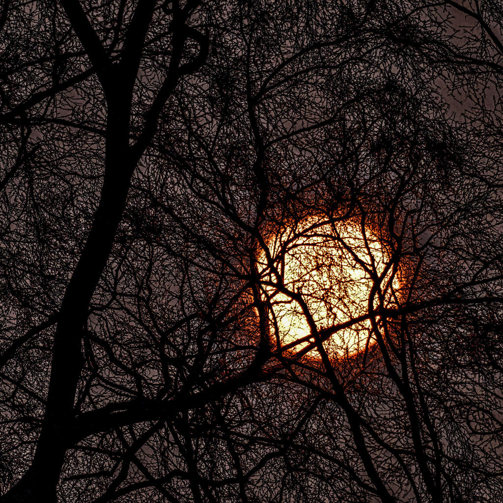 sunset.jpg