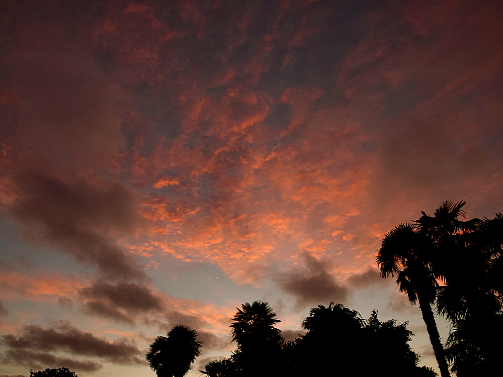Sunset.jpg