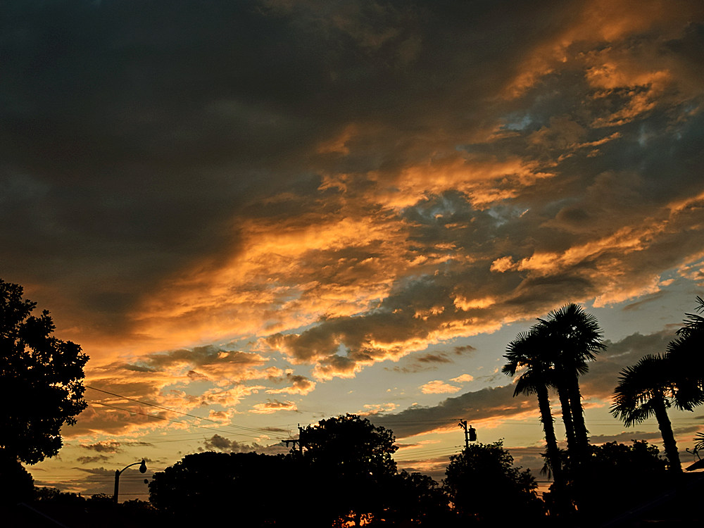 Sunset.jpg