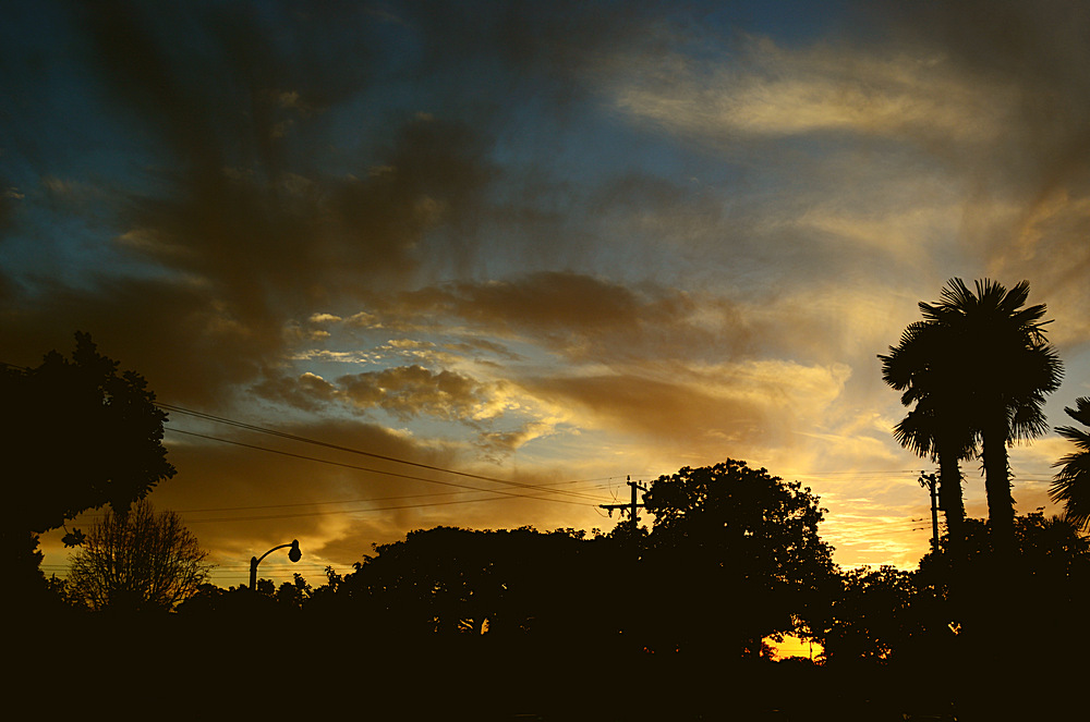 Sunset.jpg