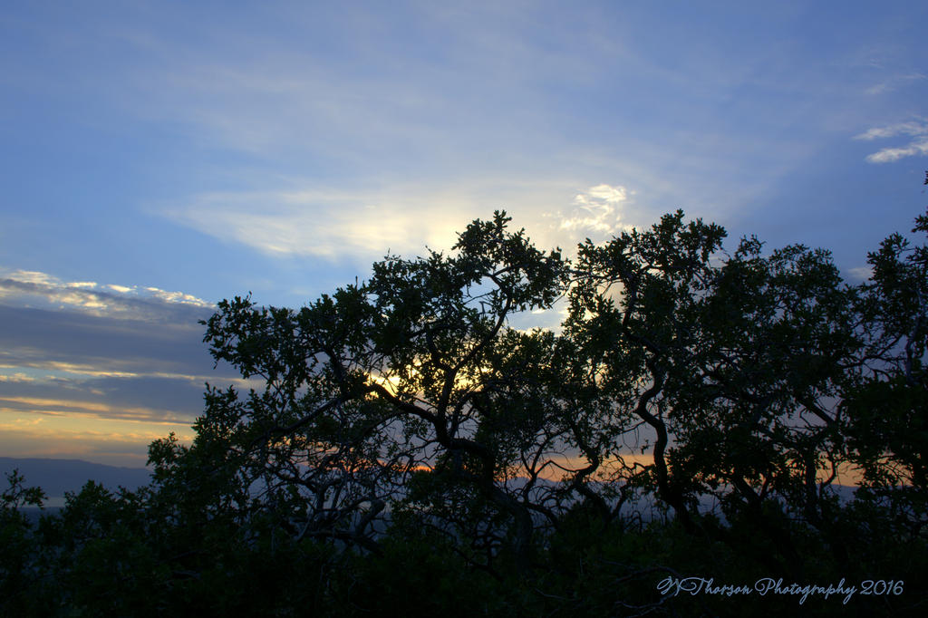 Sunset on East Provo Bench #2 8-2-2016.jpg