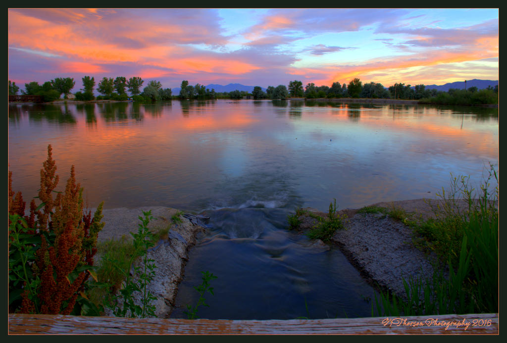 Sunset Reflected in the Pond 6-18-2016.jpg