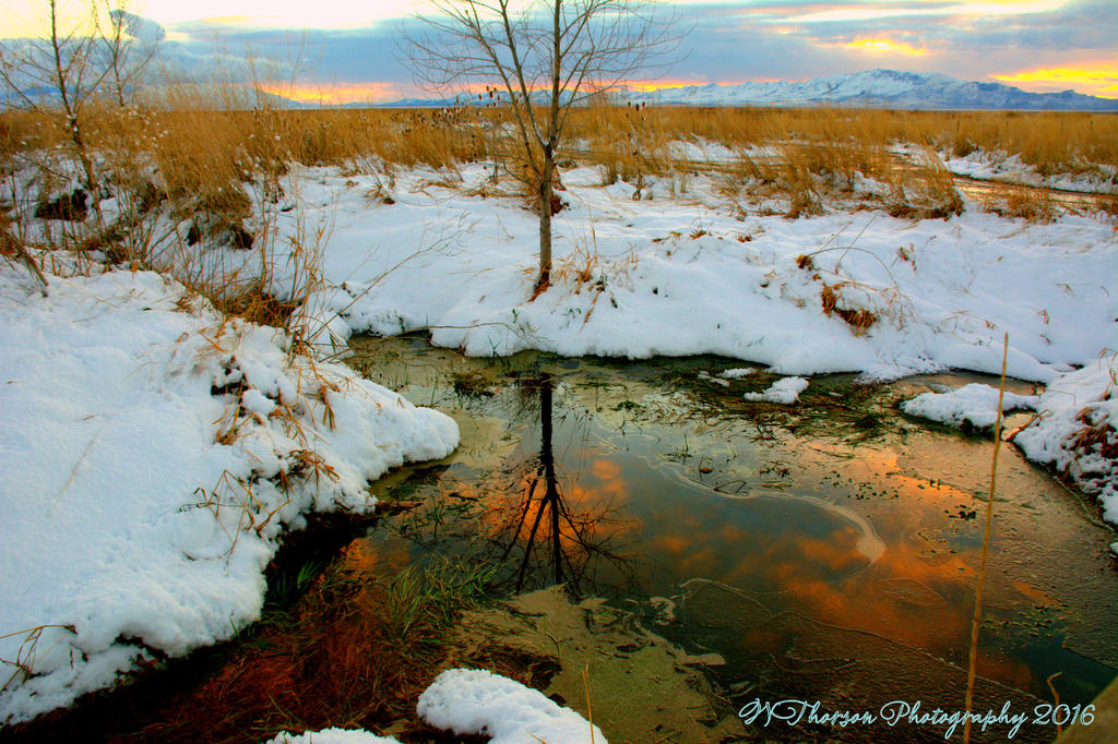 Sunset Reflection 11-29-2016.jpg