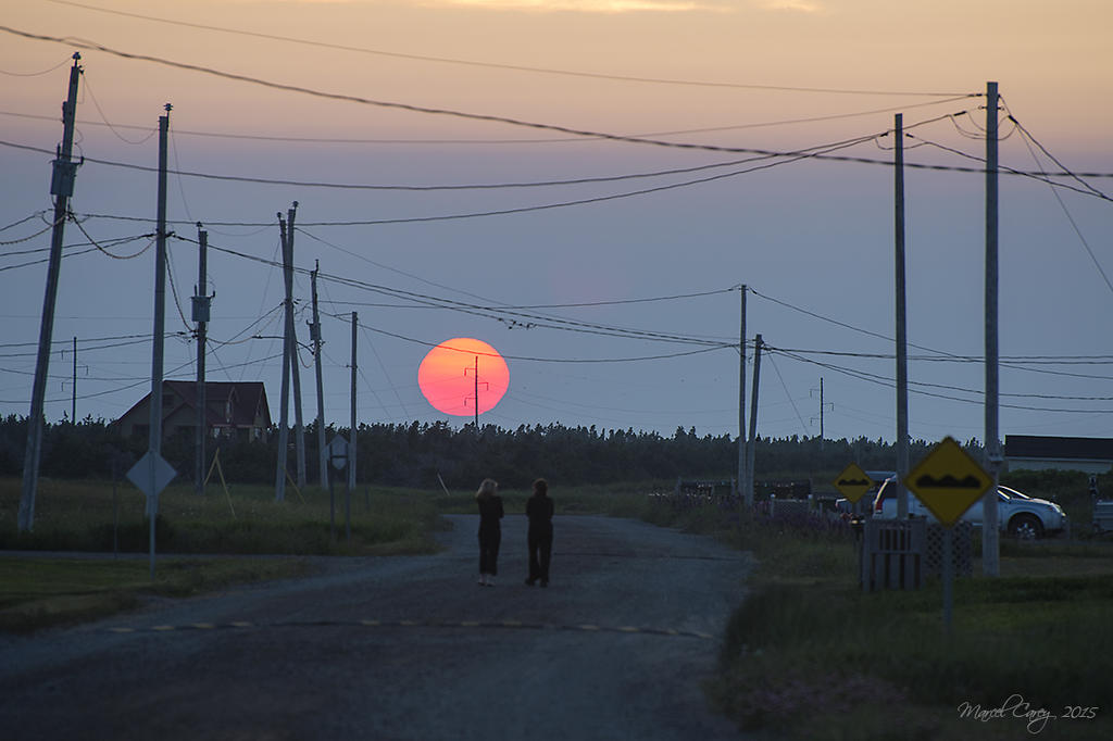 sunset street.jpg