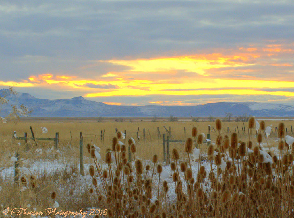 Sunset with Catails 11-29-2016.jpg