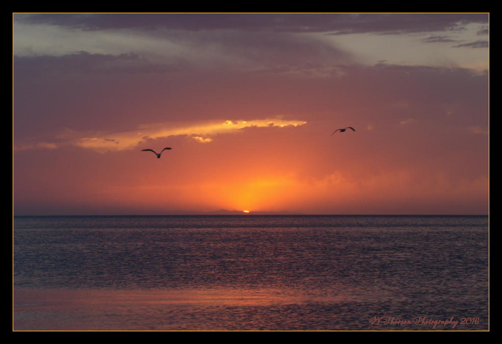 Sunset with Seagull's 6-28-2016.jpg