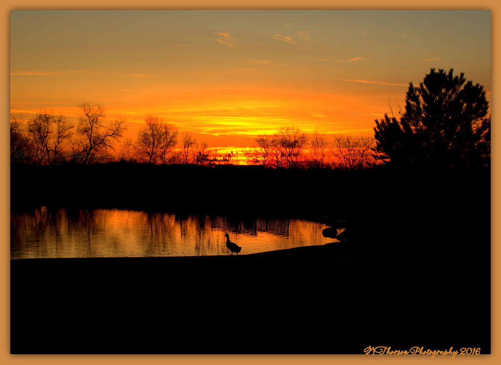 Sunset with Silhouetts  3-30-2016.jpg