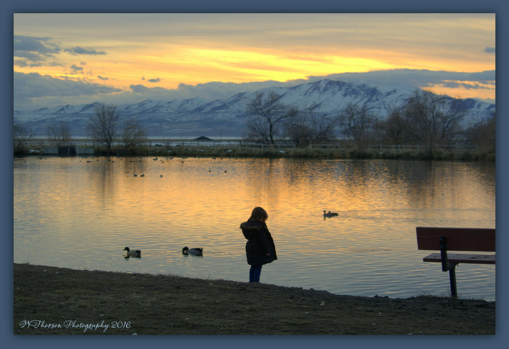 Sunset with Sillouette 2-15-2016.jpg