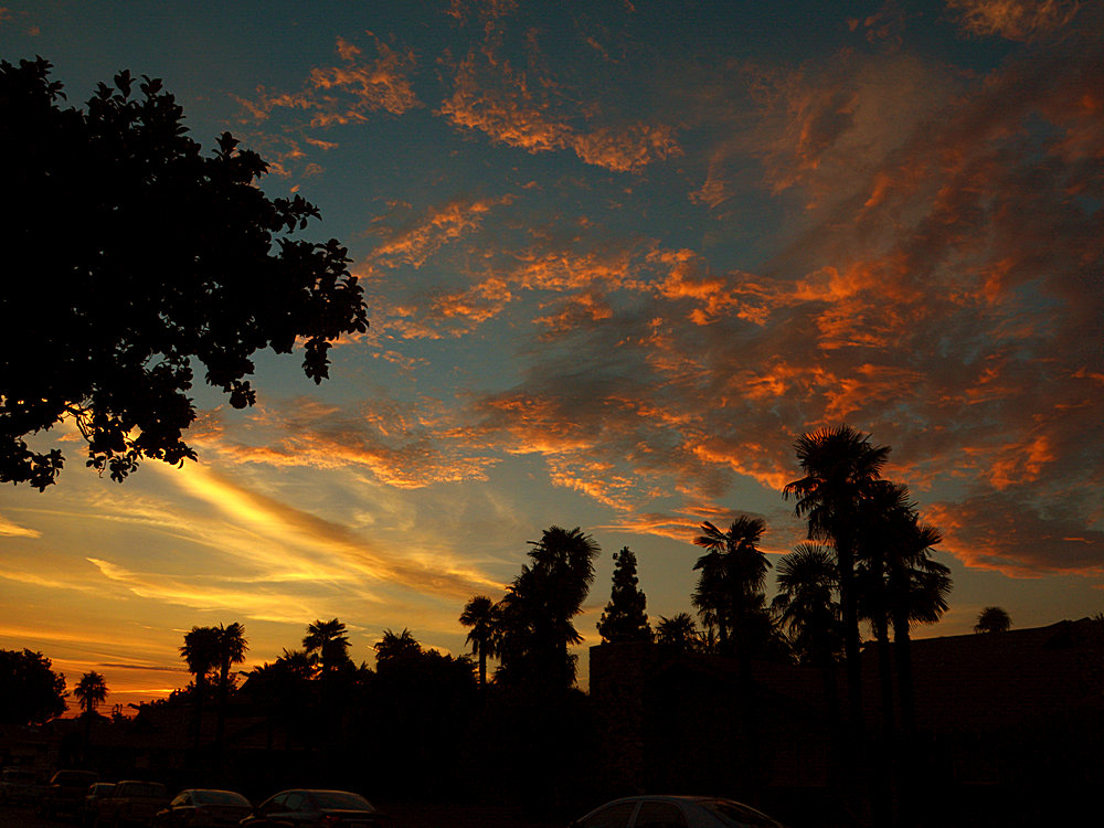 Sunset2.jpg